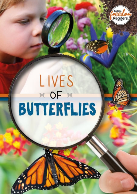 Lives of Butterflies, Paperback / softback Book