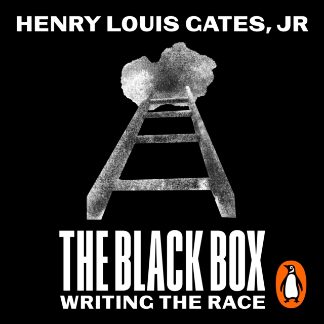 The Black Box : Writing the Race, eAudiobook MP3 eaudioBook