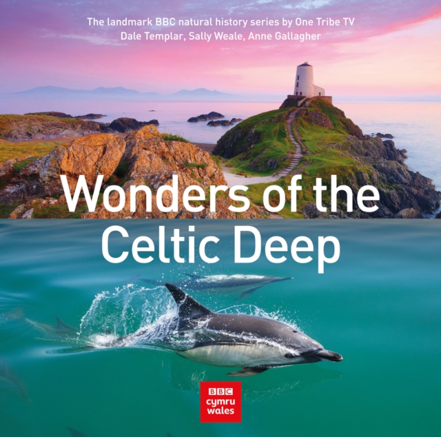 Wonders of the Celtic Deep, EPUB eBook