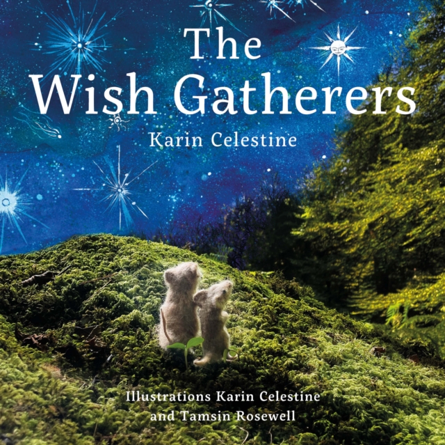 The Wish Gatherers, EPUB eBook