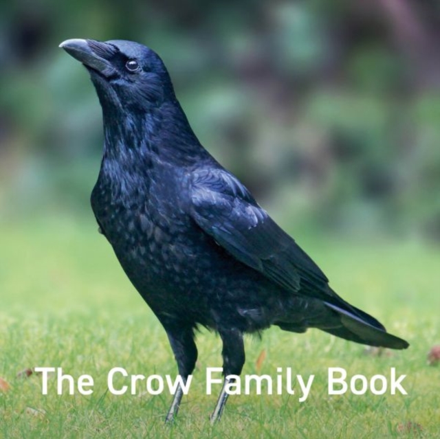 Crow Family Book, The, Hardback Book