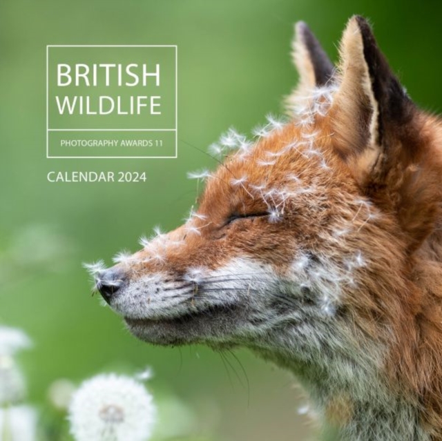 British Wildlife Photography Awards Calendar 2024, Calendar Book
