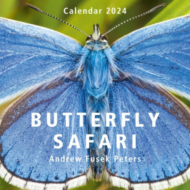 Butterfly Safari Calendar 2024, Calendar Book