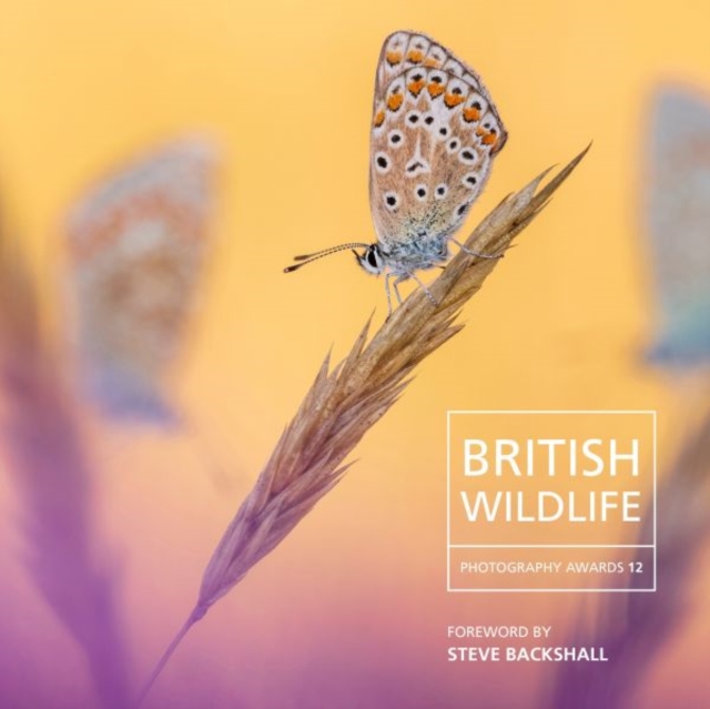 British Wildlife Photography Awards 12, Hardback Book