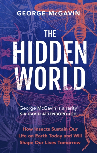 The Hidden World : How Insects Sustain Life on Earth Today and Will Shape Our Lives Tomorrow, Paperback / softback Book