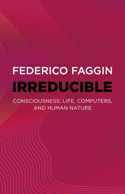 Irreducible : Consciousness, Life, Computers, and Human Nature, Paperback / softback Book
