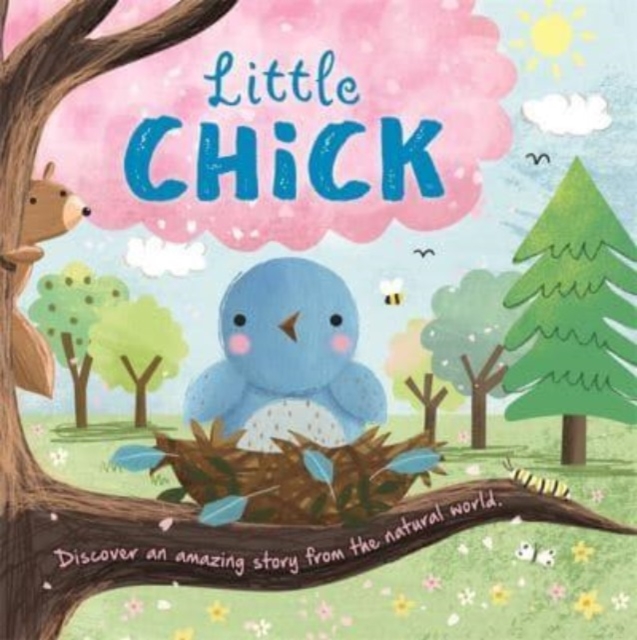 Little Chick, Hardback Book