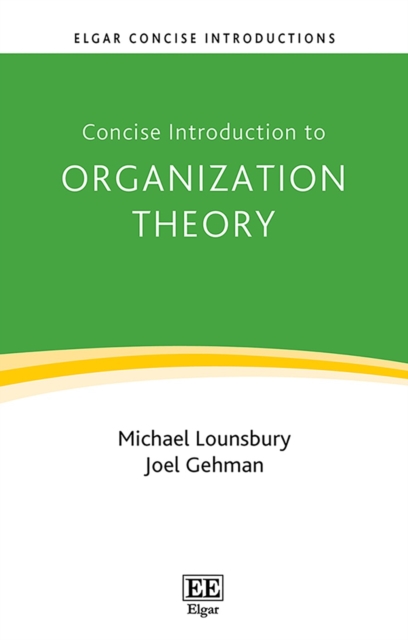 Concise Introduction to Organization Theory : From Ontological Differences to Robust Identities, PDF eBook