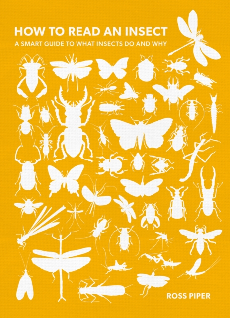 How to Read an Insect : A Smart Guide to What Insects Do and Why, Paperback / softback Book