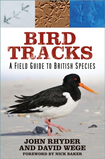 Bird Tracks, EPUB eBook