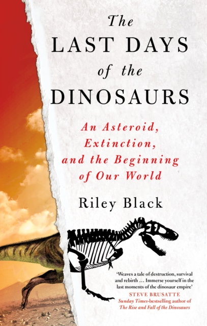 The Last Days of the Dinosaurs : An Asteroid, Extinction and the Beginning of Our World, Paperback / softback Book