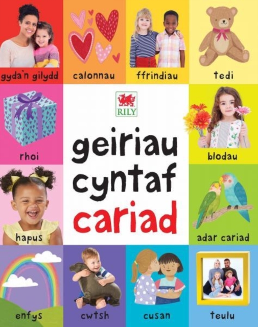 Geiriau Cyntaf Cariad, PDF eBook