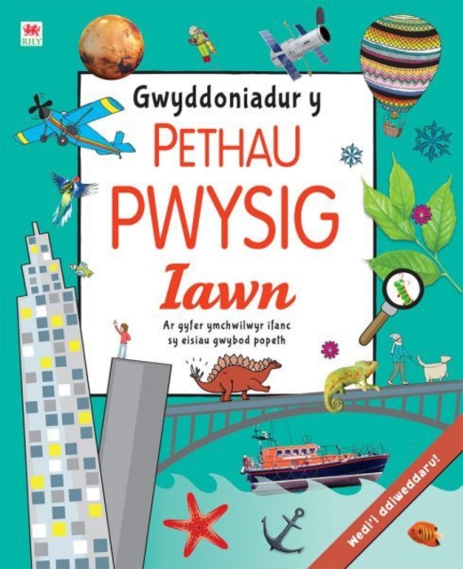 Gwyddoniadur y Pethau Pwysig Iawn, PDF eBook