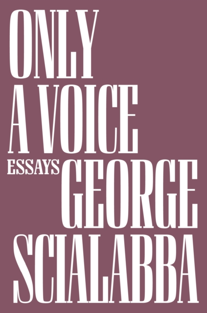 Only a Voice : Essays, Hardback Book