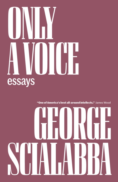 Only a Voice : Essays, EPUB eBook