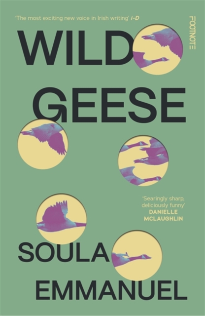 Wild Geese : 'The most exciting new voice in Irish writing' i-D, Paperback / softback Book