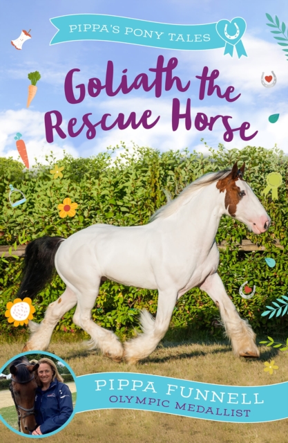 Goliath the Rescue Horse, EPUB eBook