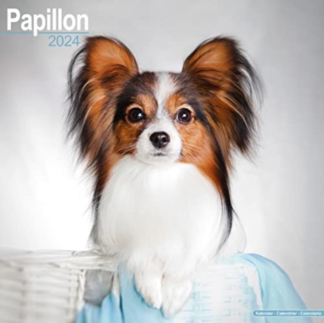 Papillon Calendar 2024  Square Dog Breed Wall Calendar - 16 Month, Calendar Book
