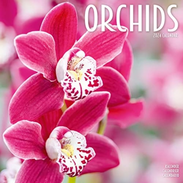 Orchids Calendar 2024  Square Flowers Wall Calendar - 16 Month, Calendar Book