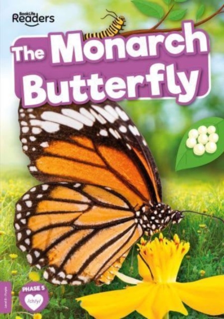 The Monarch Butterfly, Paperback / softback Book