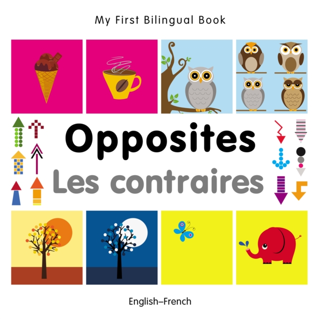 My First Bilingual Book-Opposites (English-French), PDF eBook