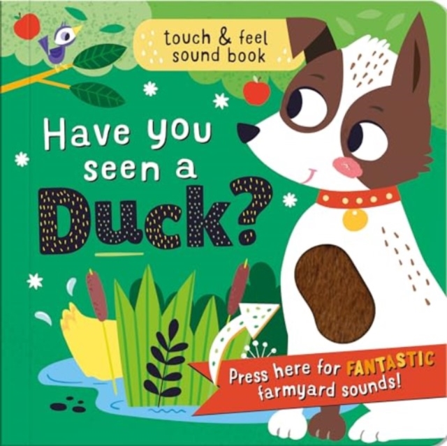 Have you seen a Duck?, Paperback Book