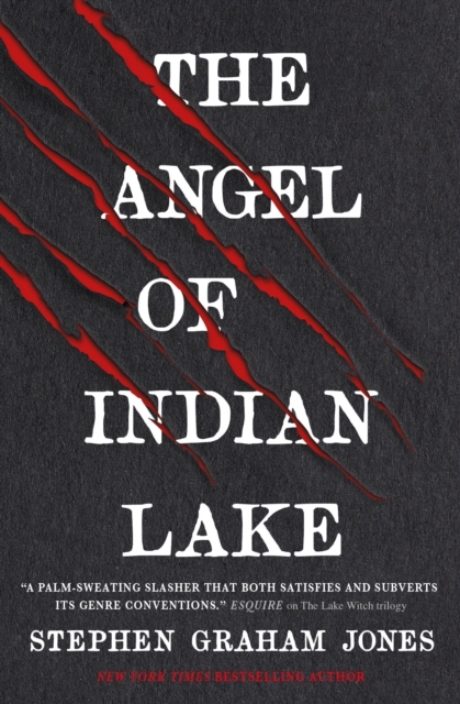 The Angel of Indian Lake, EPUB eBook
