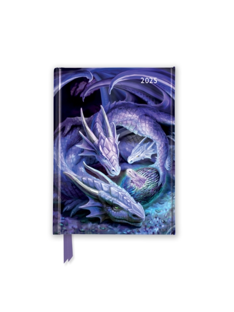 Anne Stokes: Welcome Hatchling 2025 Luxury Pocket Diary Planner - Week to View, Diary or journal Book