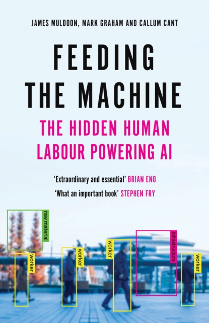 Feeding the Machine : The Hidden Human Labour Powering AI, Paperback / softback Book
