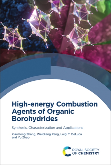 High-energy Combustion Agents of Organic Borohydrides : Synthesis, Characterization and Applications, PDF eBook