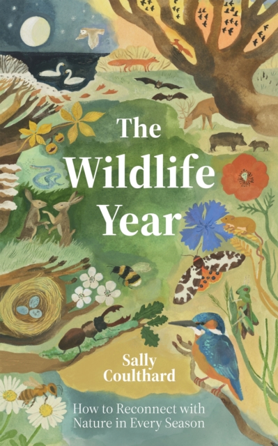 The Wildlife Year : How to Reconnect with Nature Through the Seasons, Hardback Book