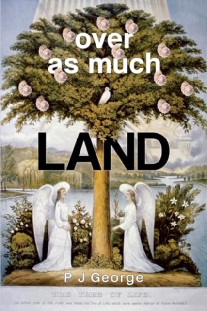 Over As Much Land, Paperback / softback Book
