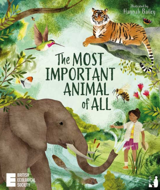 The Most Important Animal Of All, Paperback / softback Book