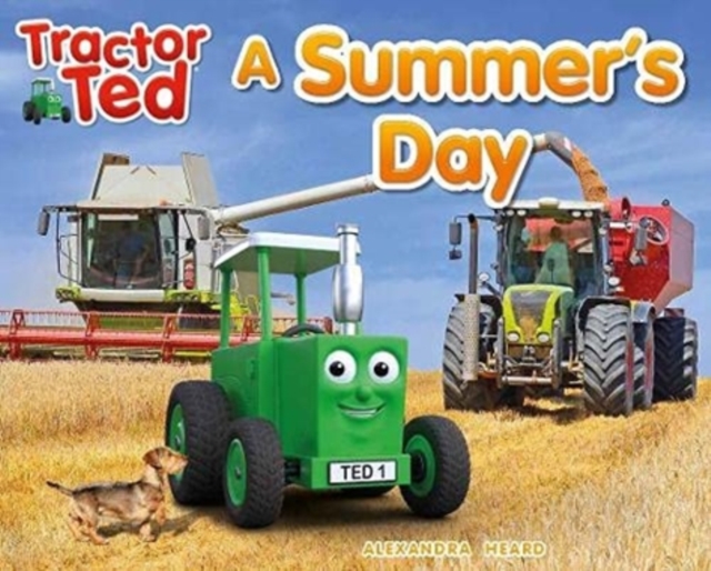 Tractor Ted A Summer's Day, Paperback / softback Book