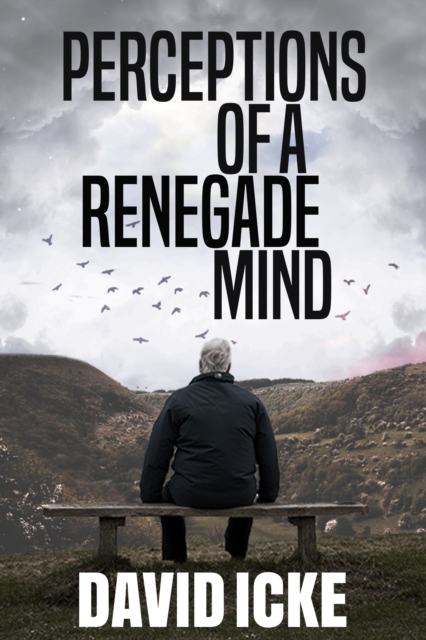 Perceptions Of A Renegade Mind, Paperback / softback Book