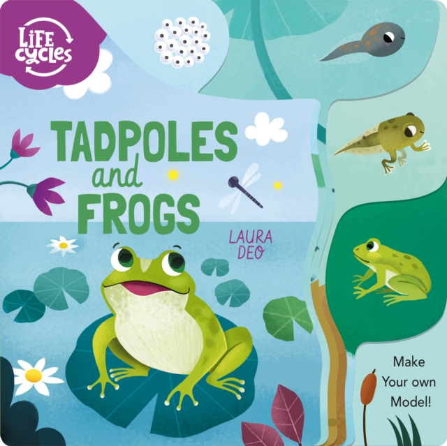 Tadpoles and Frogs : Make Your Own Model!, Board book Book