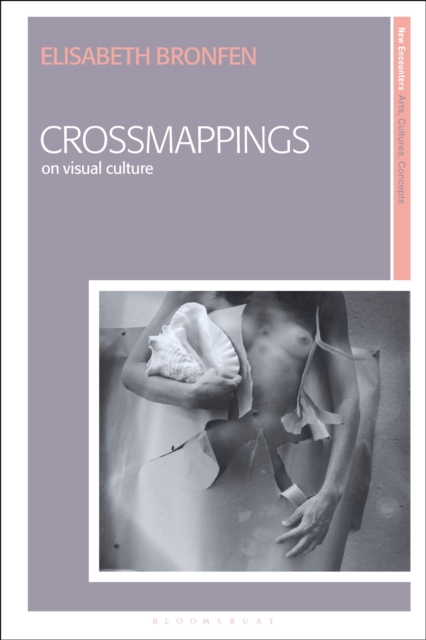 Crossmappings : On Visual Culture, EPUB eBook
