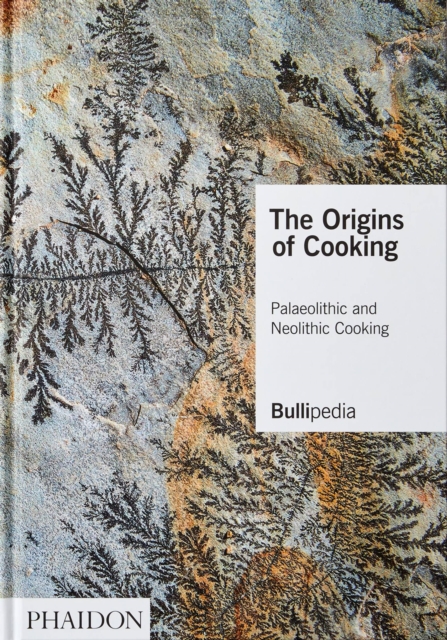The Origins of Cooking : Palaeolithic and Neolithic Cooking, Hardback Book