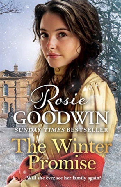 The Winter Promise : A perfect cosy Victorian saga from the Sunday Times bestselling author, Hardback Book