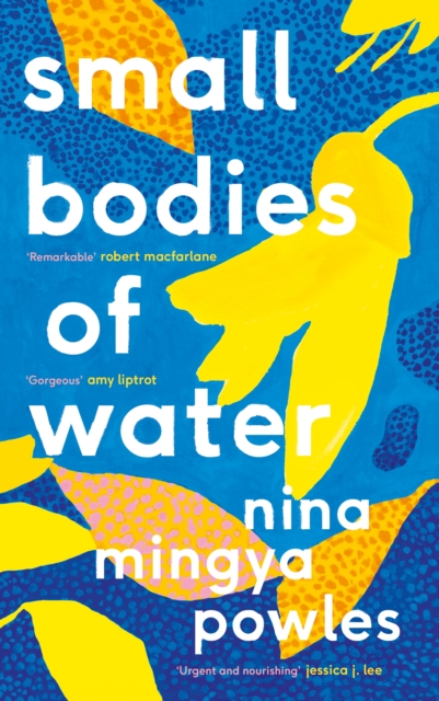Small Bodies of Water, Hardback Book