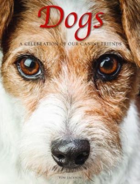 Dogs : A Celebration of our Canine Friends, Hardback Book