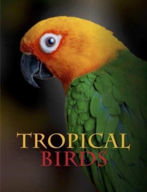 Tropical Birds, Hardback Book
