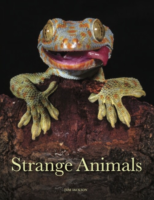Strange Animals, Hardback Book