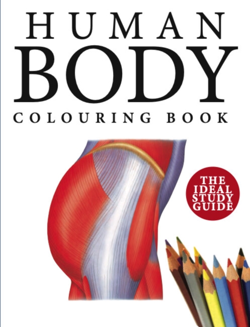 Human Body Colouring Book : Human Anatomy in 215 Illustrations, Paperback / softback Book
