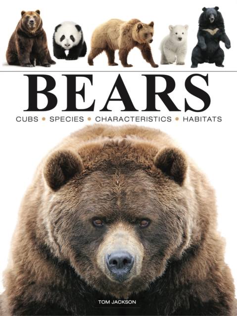 Bears, Paperback / softback Book