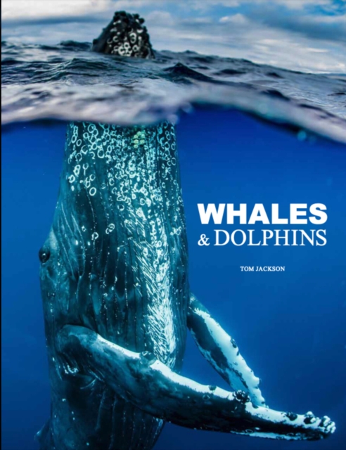 Whales & Dolphins, Hardback Book