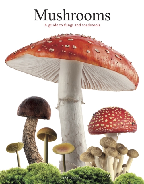 Mushrooms : A guide to fungi and toadstools, Paperback / softback Book