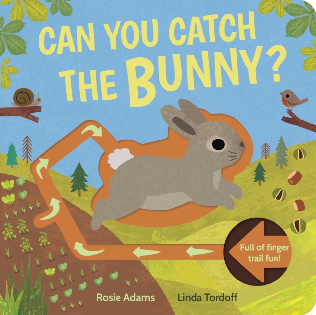 Can You Catch the Bunny?, Board book Book