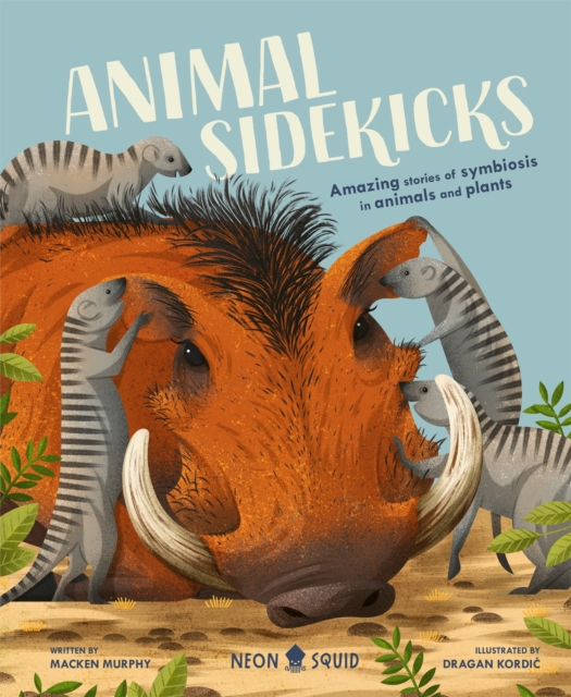 Animal Sidekicks : Amazing Stories of Symbiosis in Animals and Plants, Hardback Book