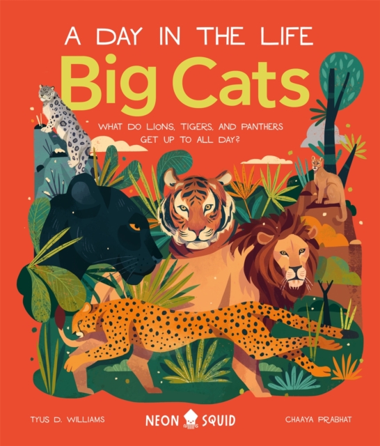 Big Cats (A Day in the Life) : What Do Lions, Tigers and Panthers Get up to all day?, Hardback Book